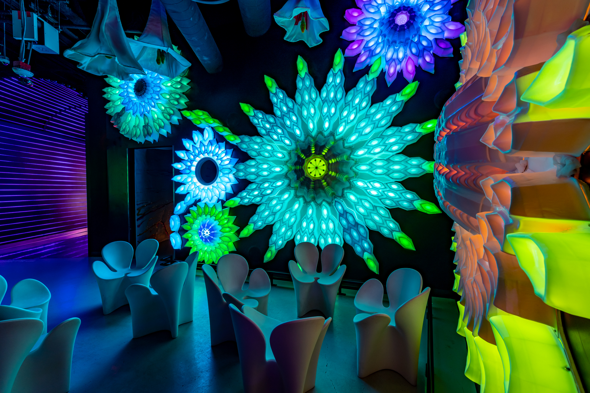 Meow Wolf in Houston, TX