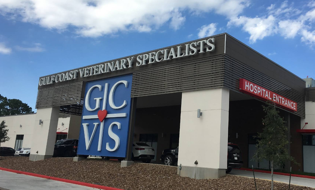 How Gulf Coast Veterinary Specialists Transforms Veterinary Medicine in Houston, TX
